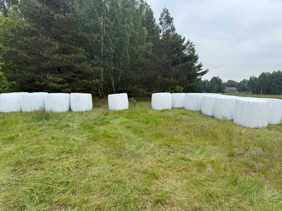 Sianokiszonka, siano, słoma