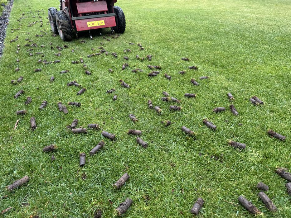 Aerator spalinowy_weibang_billy goat_camon_wertykulator spalinowy_usluga pielęgnacji trawnika