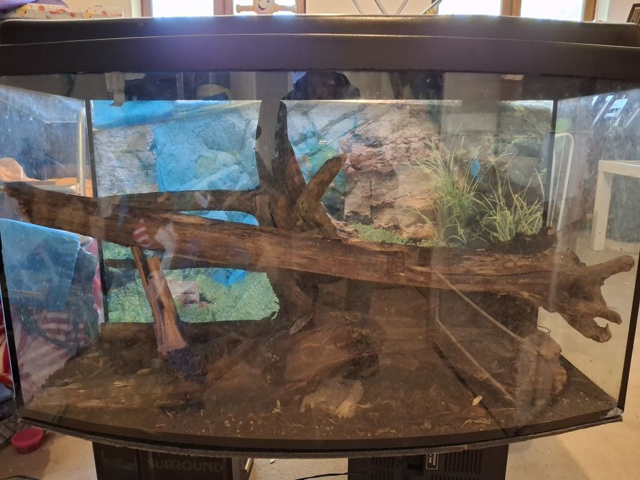 Terrarium dla jaszczurki węża 80x45x35