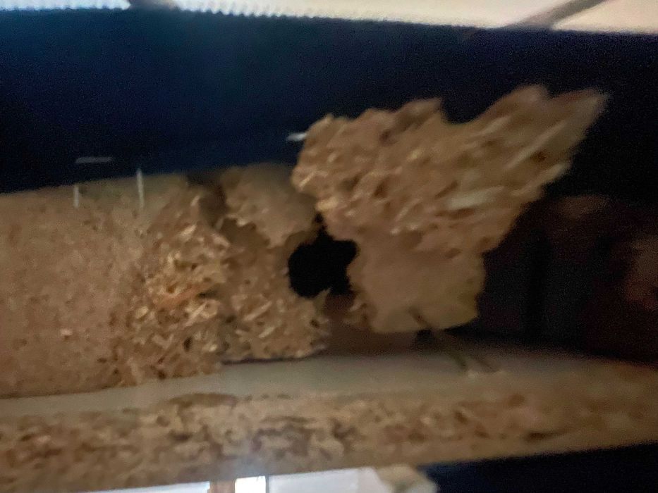 Łóżko tapicerowane 180x200 z materacem – używane