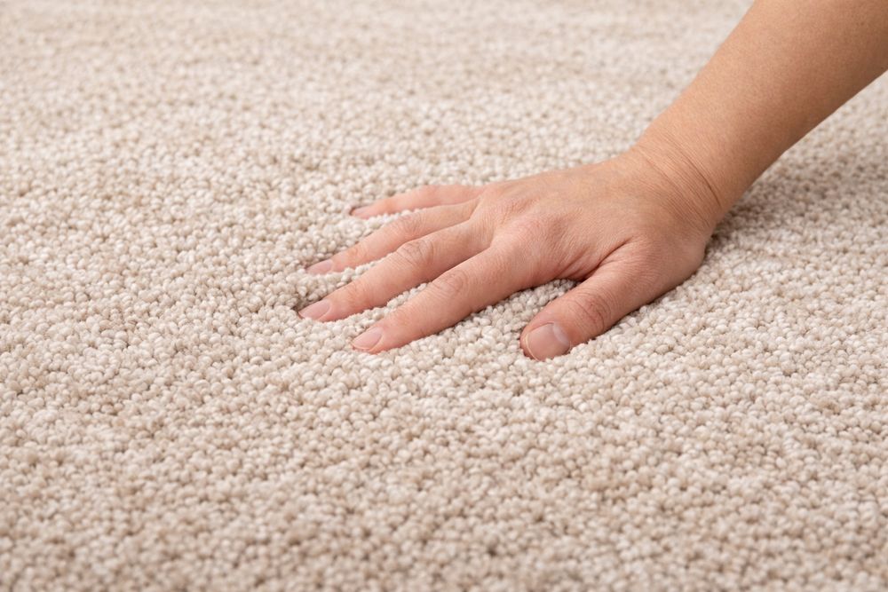 Tapete Grande Sala 200x290 Moderno – Pelo Compacto