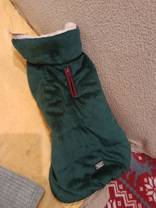 Для собак попона