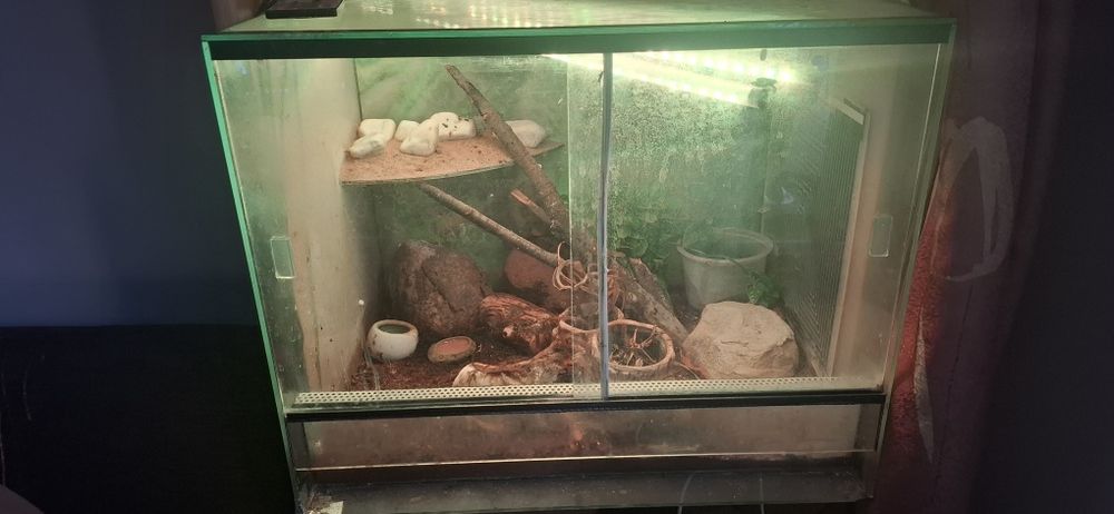 Sprzedam terrarium!