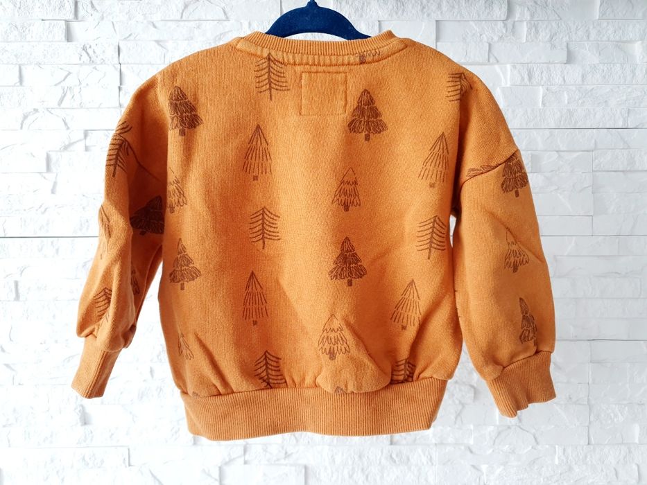 Bluza chłopięca marki Reserved