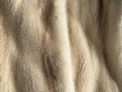 Шуба норкова коротка автоледі світла бежева, Pelliccia Furs, р. ХS-S