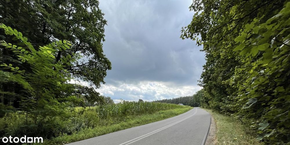 Działka budowlana z WZ | Cieszyn, gm. Sośnie | Dolina Baryczy - Widok 3