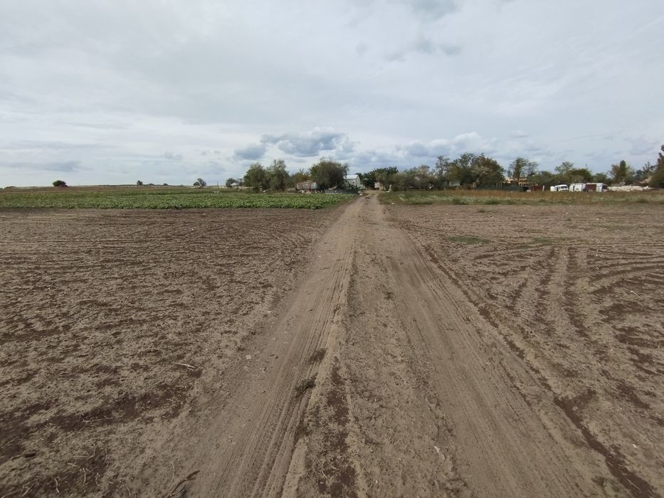 Сдам в аренду землю 6 Га на поливе