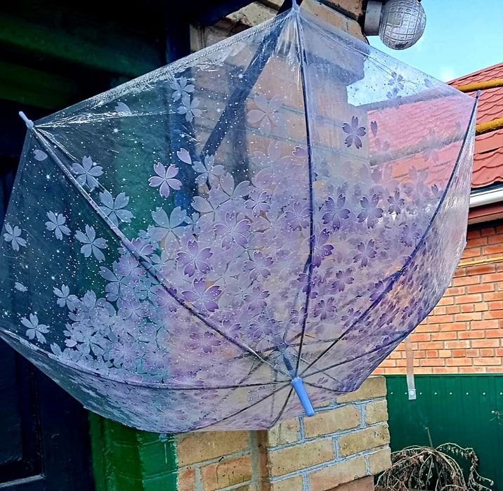 Парасолька зонтик