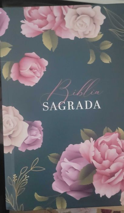 Biblias com Harpa e corinho