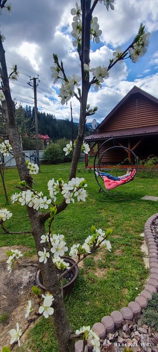 Котедж "ясень"на 2 номери 4-8 місць