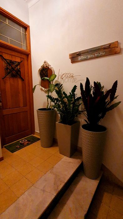 Quarto para alugar em Centro de Faro