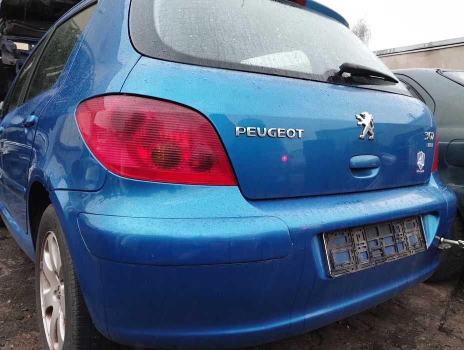 Peugeot 307 2.0HDi 5D 2004r.Klapa bagażnika.