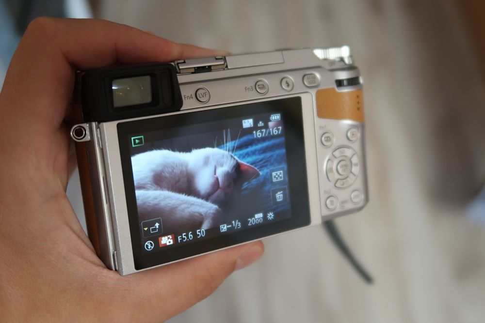 Panasonic Lumix GX80