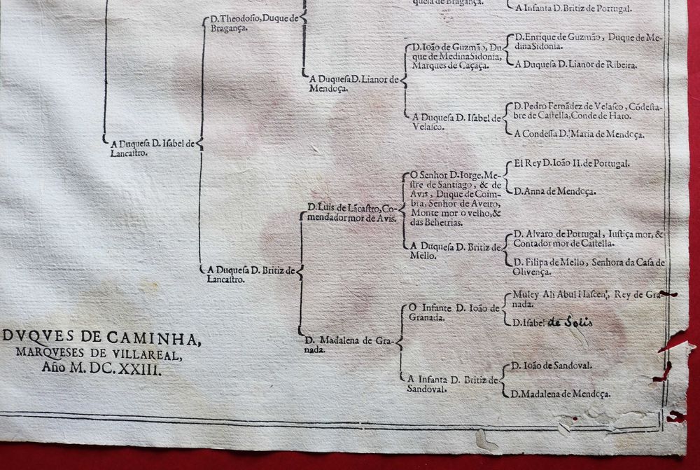 Meneses, Marqueses de Vila Real - Duques de Caminha, duas árvores costados