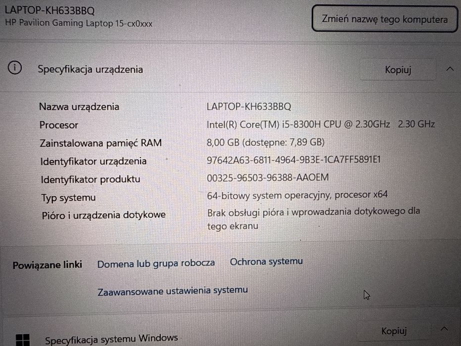 HP Pavilion Gaming 15-cx0008nw