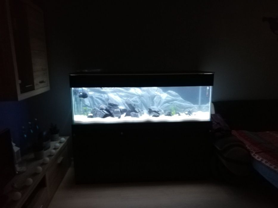 akwarium 200/50/50 500 litrow