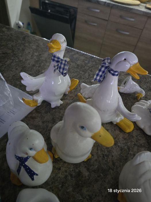 Zestaw kaczek ozdoba