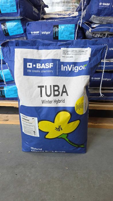 Rzepak ozimy INV TUBA F1, C1 1,5 mln nasion INTEGRAL PRO + LUMIPOSA