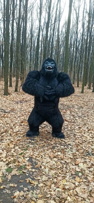 Поздравление Белый Мишка. Білий ведмідь, Пес Патрон, Зайка, Горила