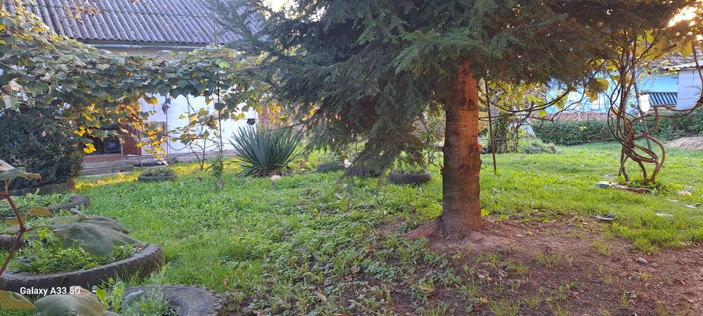 Здам будинок за містом