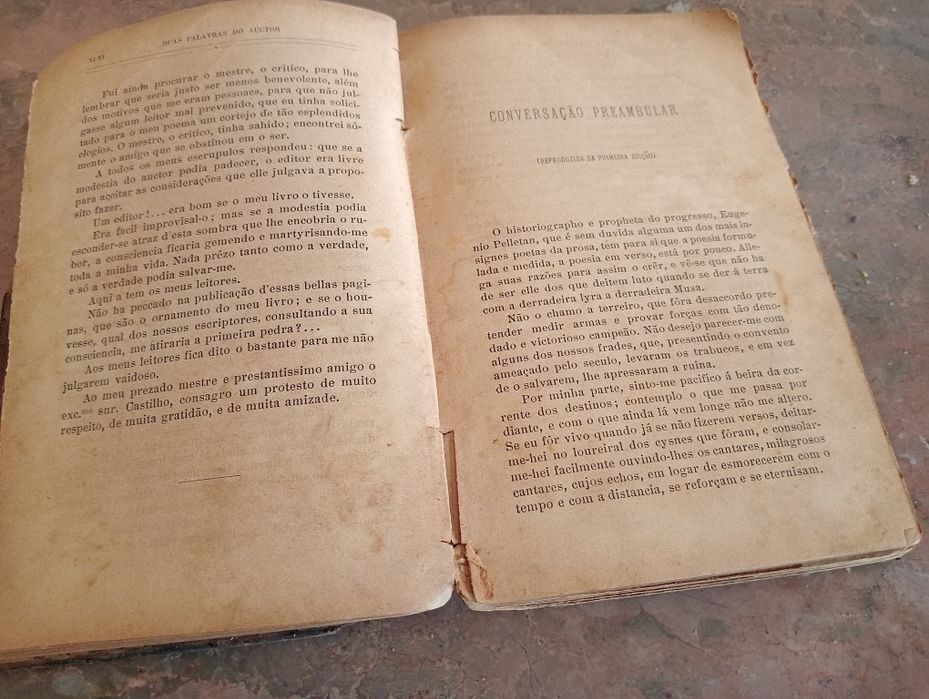 D. Jayme , Poema por Thomaz Ribeiro
