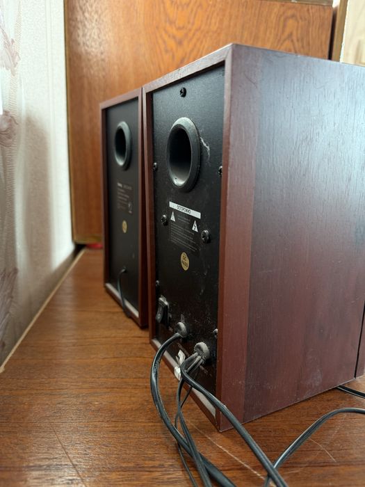 Активні колонки Dialog 2.0 з дерев'яним корпусом