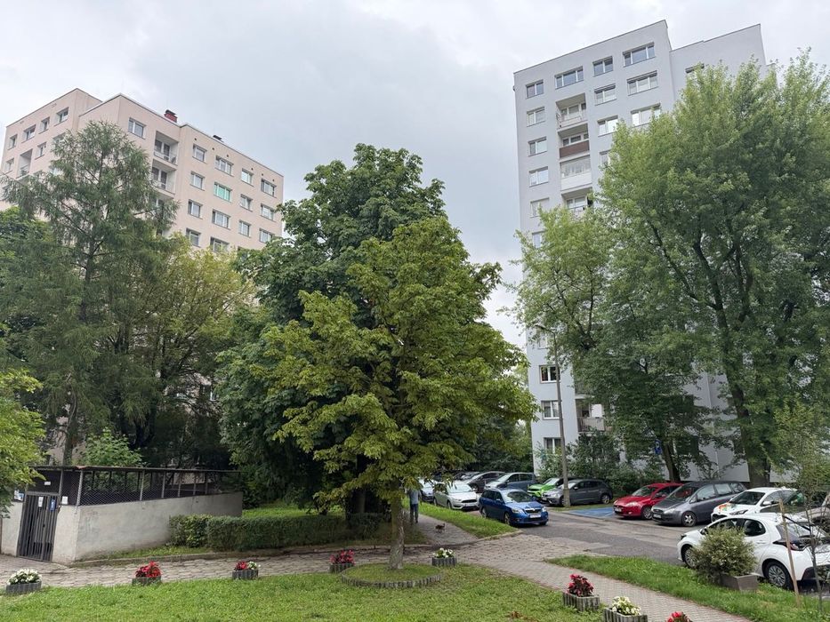 Gliwice, Centrum, Aleja Majowa. 21 mkw, kawalerka. I-sze piętro