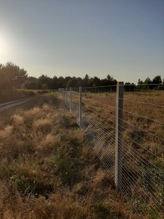 Parkur słupki toczone okrąglaki przeszkody dla koni stemple drewniane