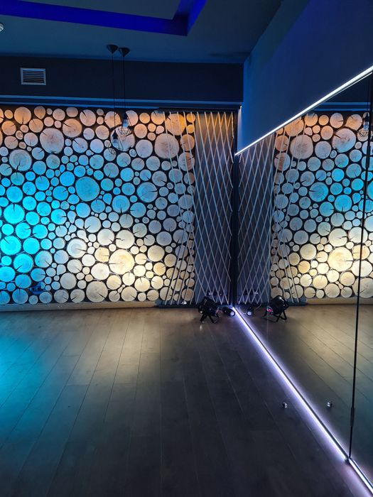 Аренда под НОВЫЙ ГОД, ДЕНЬ РОЖДЕНИЕ, праздник, почасово снять: 400 грн ...