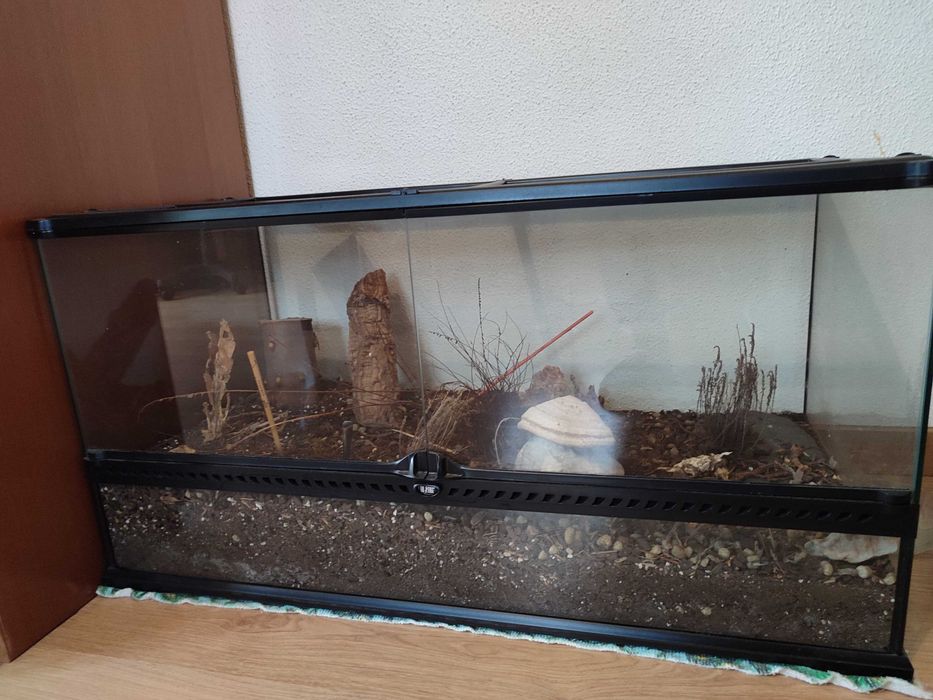 Terrário Exoterra - Grande-90cm X 45cm X 45cm