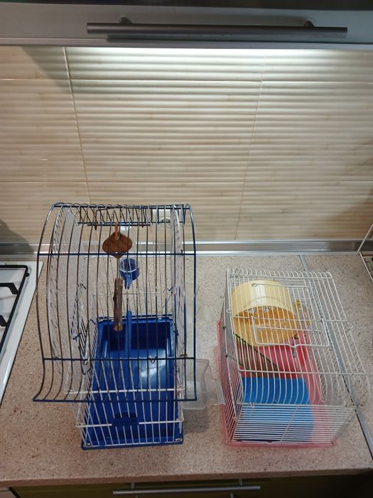 Клетки. Клетки..