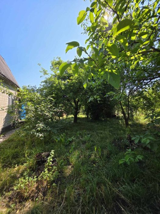 Продаж дачі Нова Українка