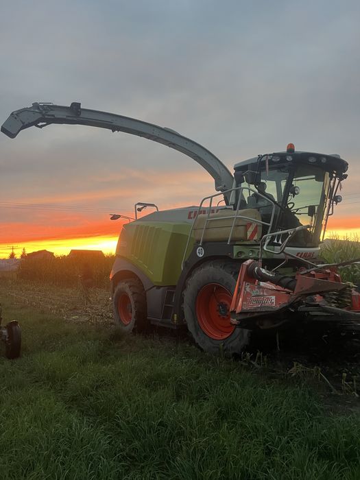 Koszenie kukurydzy claas jaguar fendt veenhuis deutz