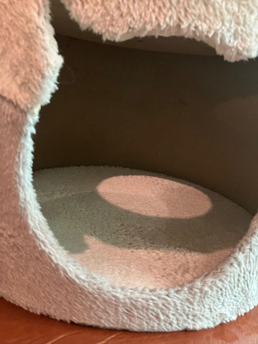 Casa para gato com oferta de arranhador (Conjunto)