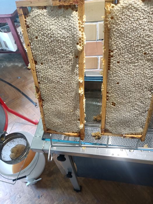 Pasieka Uhruska miód 2025 roku