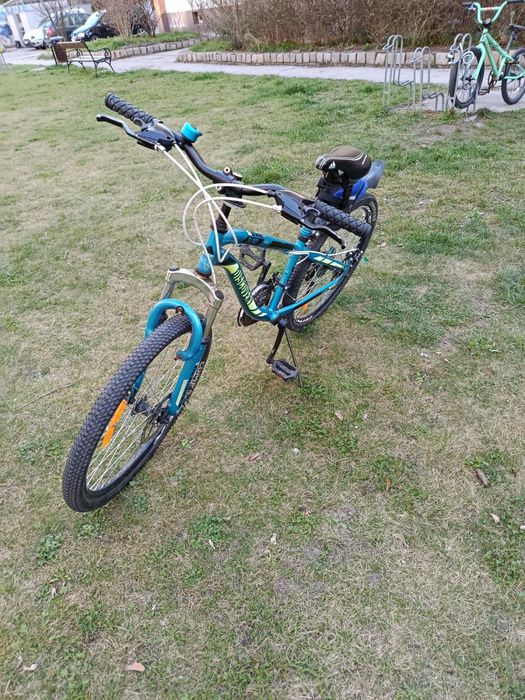 Rower Discovery 24”