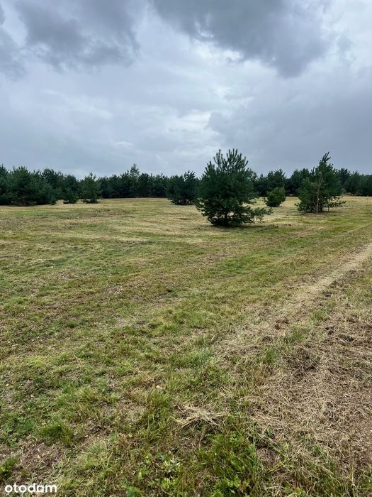 Działka budowlana 3010 m² prąd w drodze
