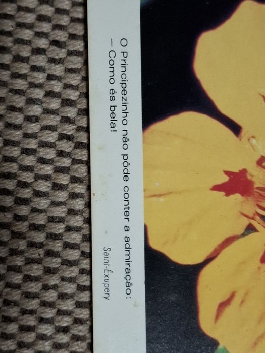 Postal do principezinho