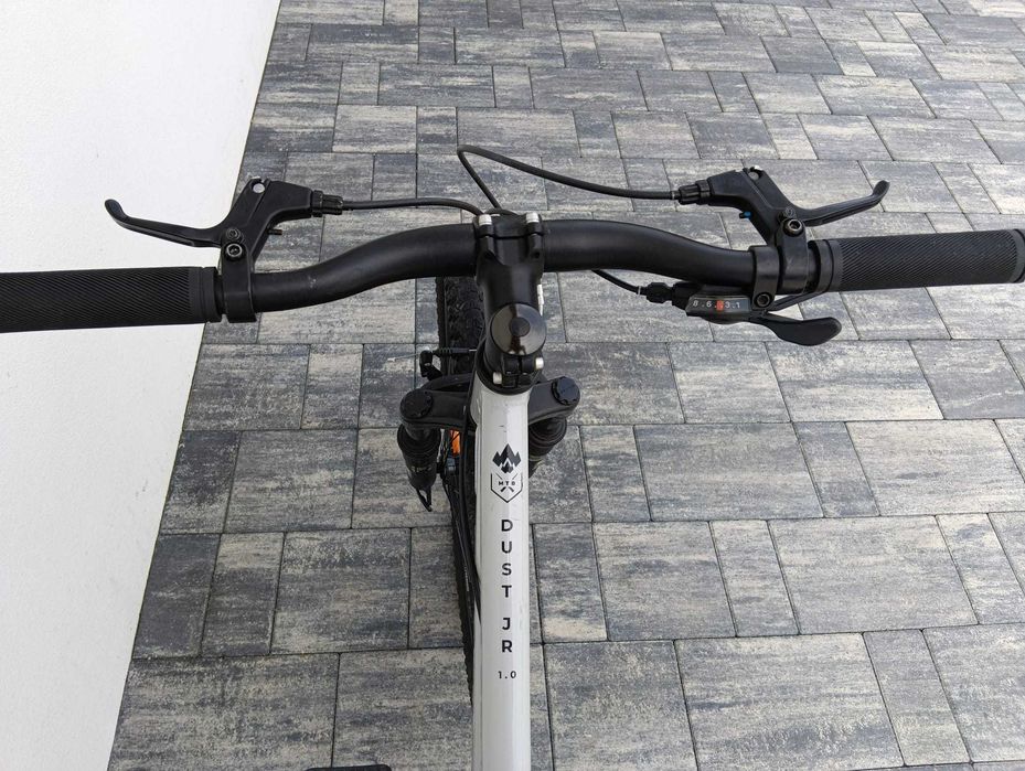 Rower Kross Dust JR