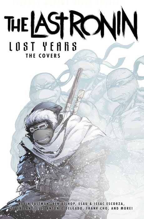 TMNT: The Last Ronin Lost Years: The Covers, Комікс, eng