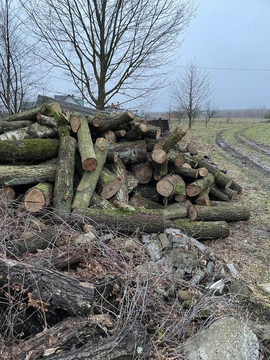 Продаж , доставка Дорова тверда та м’яка порода