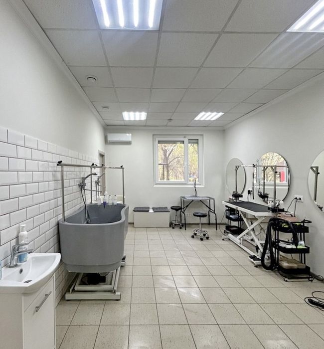 Готовий бізнес — грумінг салон у Борисполі з прибутком і клієнтами