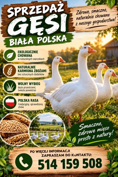 Tuszka Gęś,Gęsi BIAŁA POLSKA Z Gospodarstwa