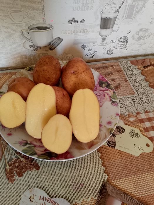 Продам картоплю.