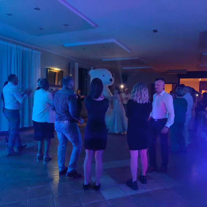 dj na imprezę,,urodziny, wesele