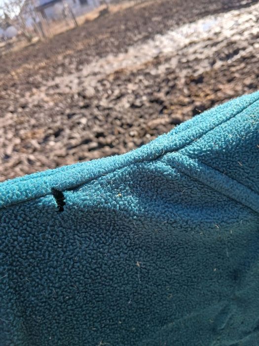 Derka polarowa 145cm