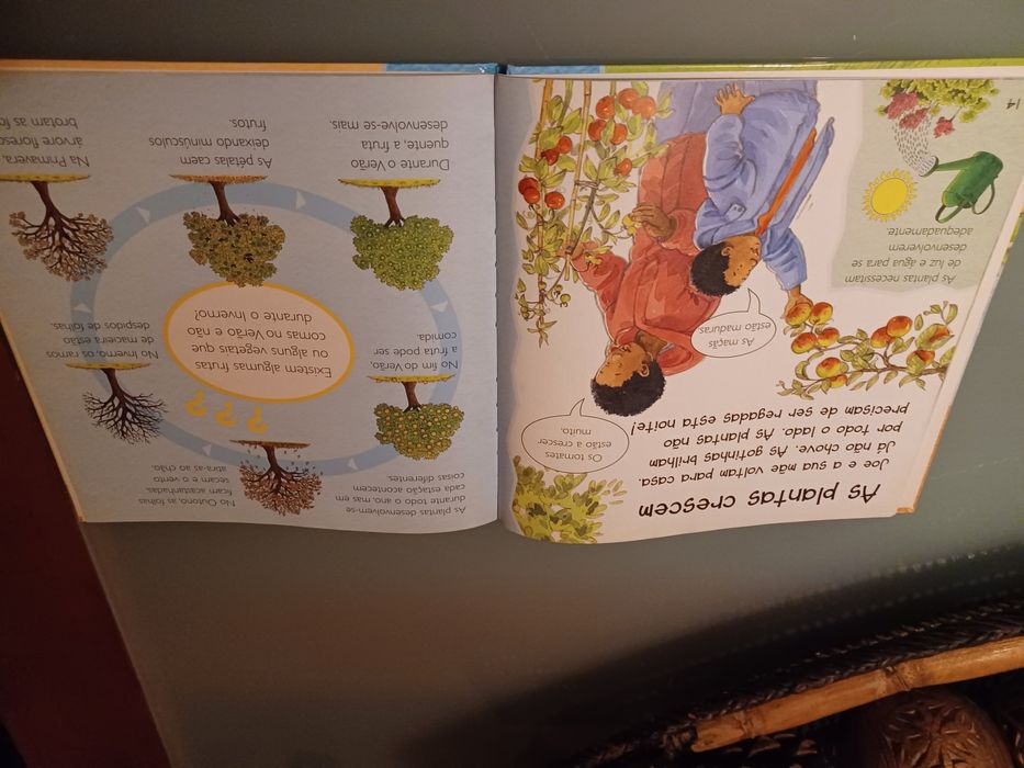 Livro "Ciência em primeira mão - O tempo"