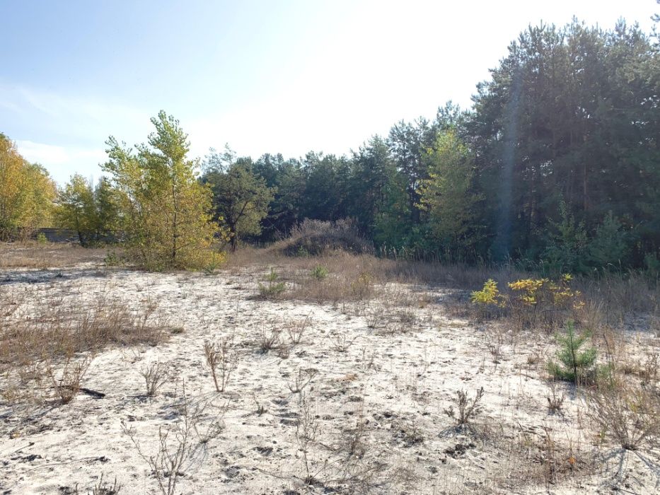 Кийлов участок от 60 соток с выходом на речку Павловка