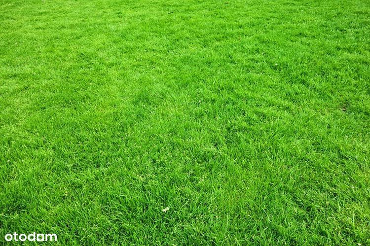 Darłowo-Darłówko sprzedam działkę budowlaną nad morzem 300 m2
