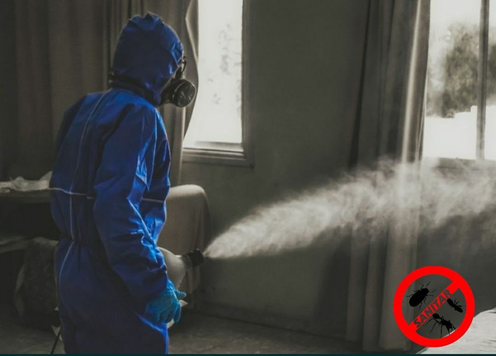 Травля тараканов Днепр. Травля клопов Днепр. Безопасно. 100% результат